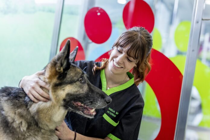 Canine_dog_vetclinic_corporate_2017_3178_hi_300dpi (1)