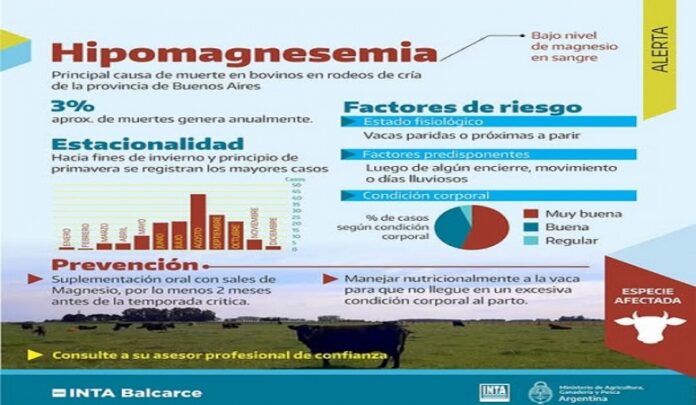 20250711185803_alerta-hipomagnesemia-enfermedad-silenciosa-inta-balcarce