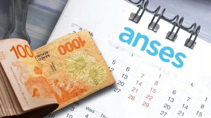 cobro anses