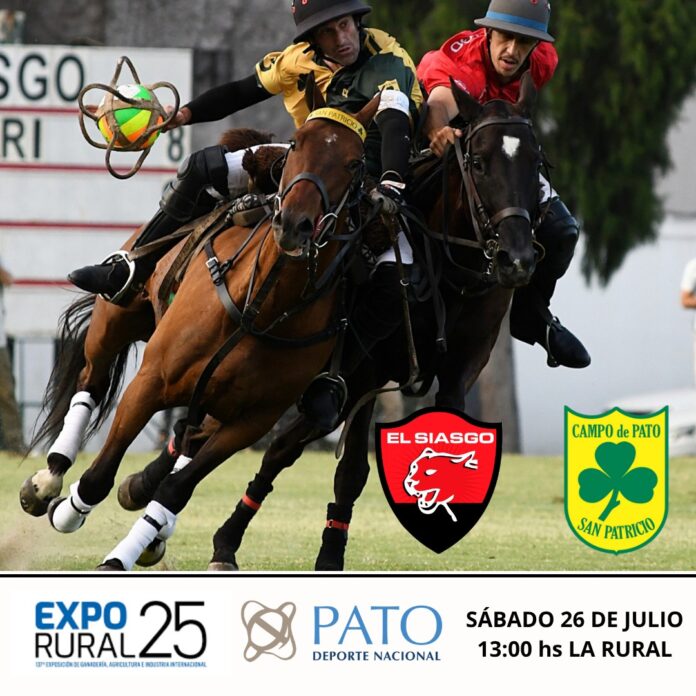 siasgo san patricio