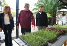 Está abierta la inscripción para la entrega de plantines a huertas comunitarias
