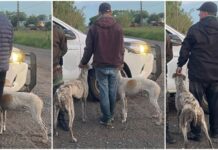 La Patrulla Rural detuvo a tres hombres por caza ilegal