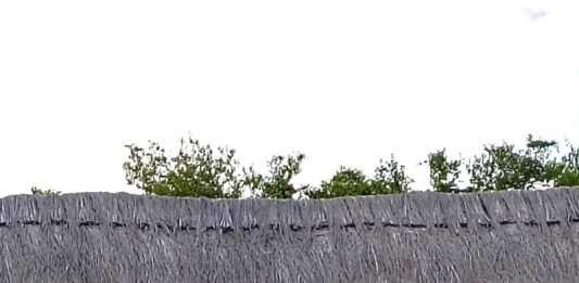 Se definieron los ganadores de la competencia de solista, rumbo a los Festivales 2026