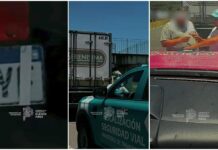 Tolerancia Cero: Transporte detuvo a un camión que circulaba con la patente tapada