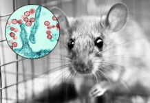 BELGRANO: Consternación por el fallecimiento de una nena, y respuesta de las autoridades