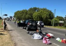 Drogas y licencia trucha en Ruta 2: Transporte PBA detectó a un conductor con el registro adulterado y que transportaba sustancias para vender