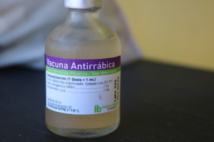 vacunacion antirrabica