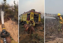 Incendios en la Patagonia: Buenos Aires envió brigadistas y equipamiento pesado
