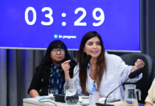 Daniela Vilar sobre la modificación de la Ley de Glaciares: «No avancen porque el daño será irreversible»