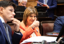 El Gobierno envió al Senado el proyecto para eliminar las PASO e instaurar la «ficha limpia»