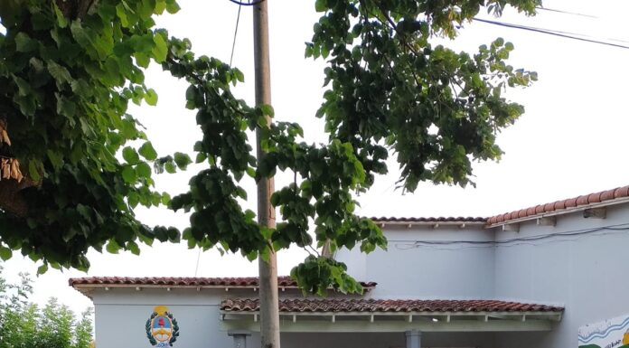Convocatoria a Asamblea Anual de la E.P Nº 14