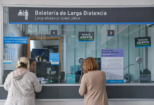 Trenes Argentinos habilitó la venta de pasajes para junio: cómo sacar boleto para viajar con mascotas