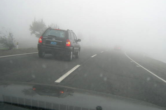 Alerta por niebla: Transporte bonaerense pide extremar cuidados al circular en rutas y caminos