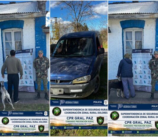 Patrulla Rural infracciona a dos masculinos por caza con perros galgos