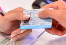 SISTEMA DE LICENCIAS NACIONALES PROFESIONALES: Más simple, mayor vigencia y libertad de elección para los conductores