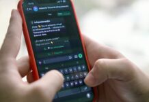 Con solo el DNI o la patente: la Provincia lanzó un asistente virtual para consultar infracciones en segundos