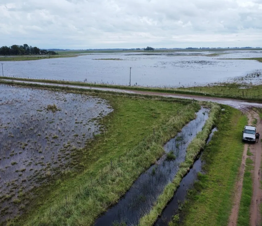 El Niño podría ser el más intenso de la historia: caerá hasta 90% más de lluvia que lo esperado