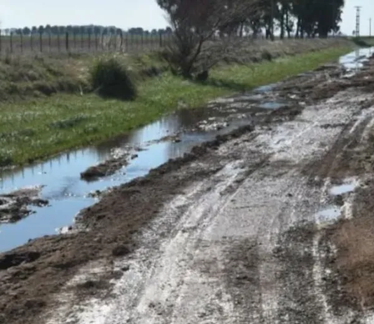 Caminos rurales: el 79% de los productores bonaerenses dicen que están en malas condiciones
