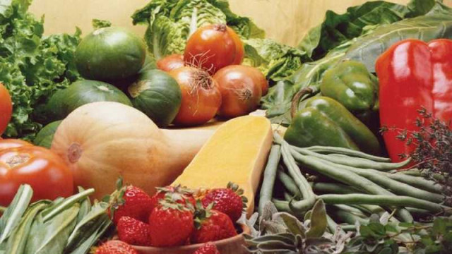 alimento verdura