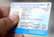 Diputados de LLA presentaron un proyecto para que las multas impagas no impidan renovar el carnet de conducir