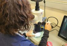 Nuevo portal Mi SENASA: Acceso online a la consulta de resultados de análisis de laboratorio