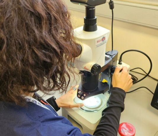 Nuevo portal Mi SENASA: Acceso online a la consulta de resultados de análisis de laboratorio