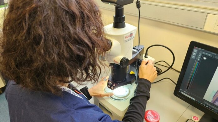 Laboratorio 1