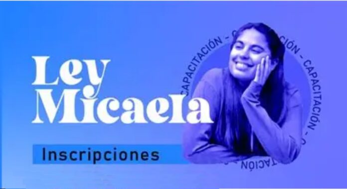 ley micaela